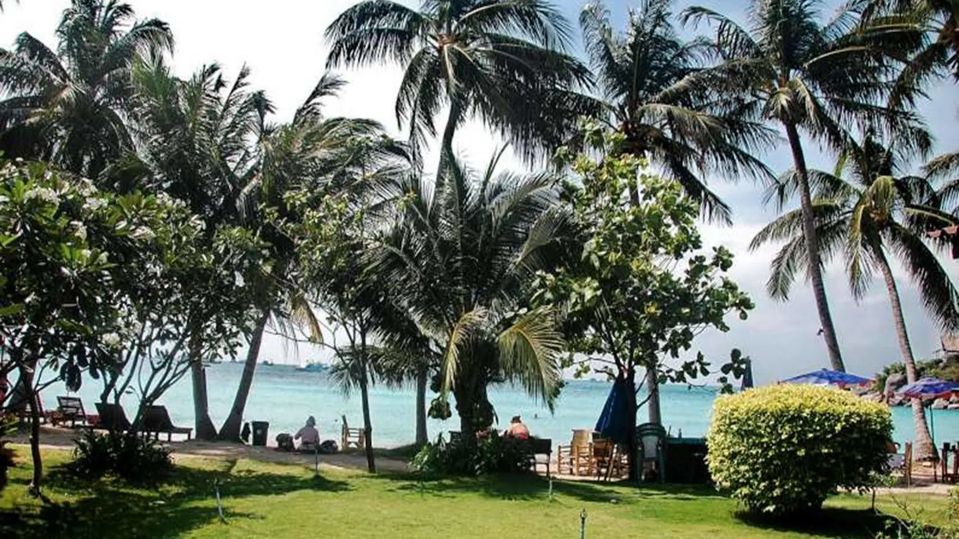 Palm Leaf Resort Ko Tao