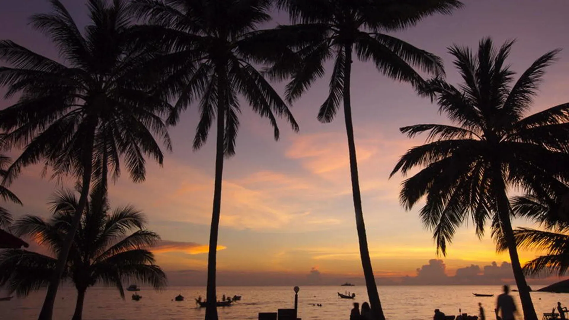 ***  Palm Leaf Resort Ko Tao Tailandia